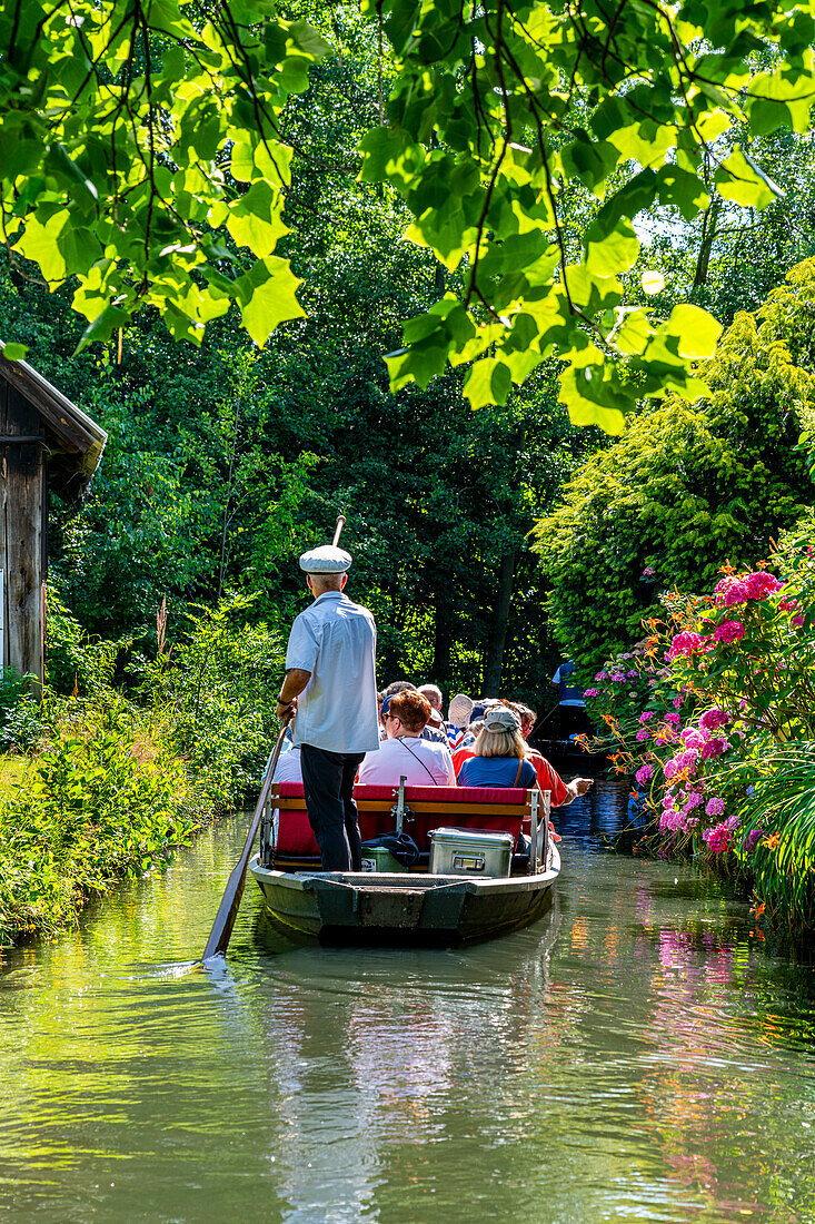 Touristen bei einer Kahnfahrt, UNESCO-Biosphärenreservat, Spreewald, Brandenburg, Deutschland, Europa