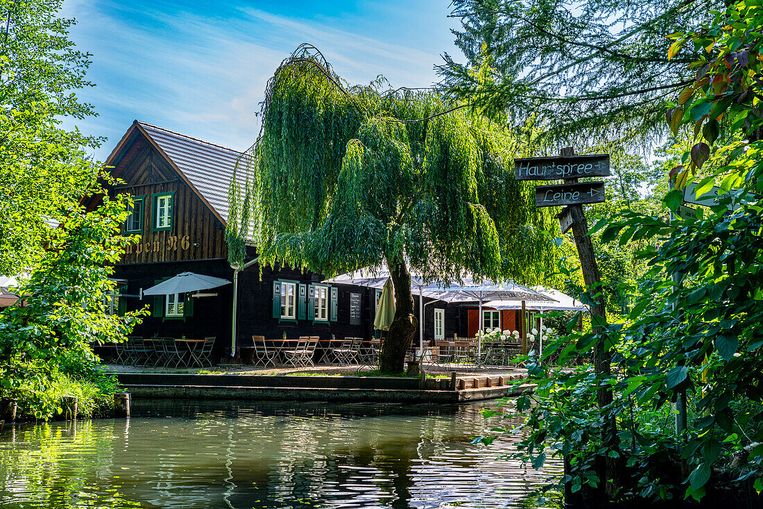 Beergarden, UNESCO Biosphere Reserve, Spree Forest, Brandenburg, Germany, Europe\n