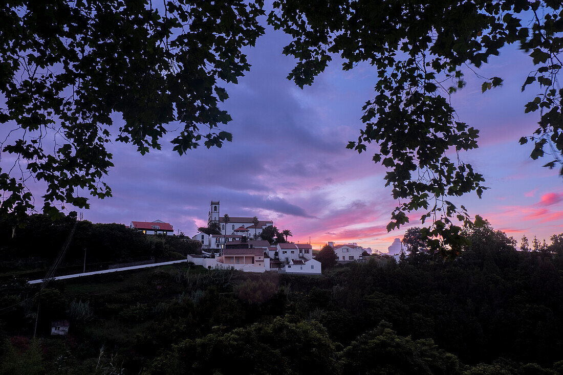 Sunset colors over Santo Antonio de Nordestinho framed by tree branches, Sao Miguel Island, Azores Islands, Portugal, Atlantic, Europe\n