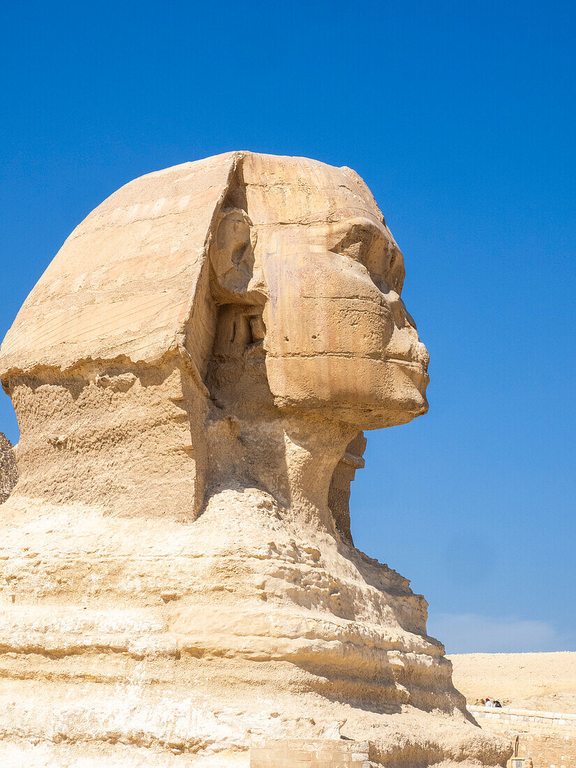 Die Große Sphinx von Gizeh in der Nähe der Großen Pyramide von Gizeh, dem ältesten der Sieben Weltwunder, UNESCO-Weltkulturerbe, bei Kairo, Ägypten, Nordafrika Afrika