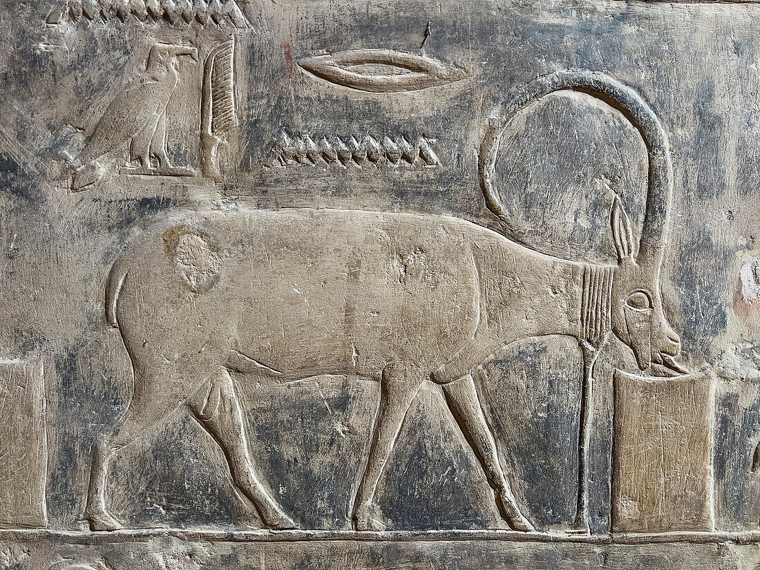 Relief from a tomb in Saqqara, part of the Memphite Necropolis, UNESCO World Heritage Site, Egypt, North Africa Africa\n