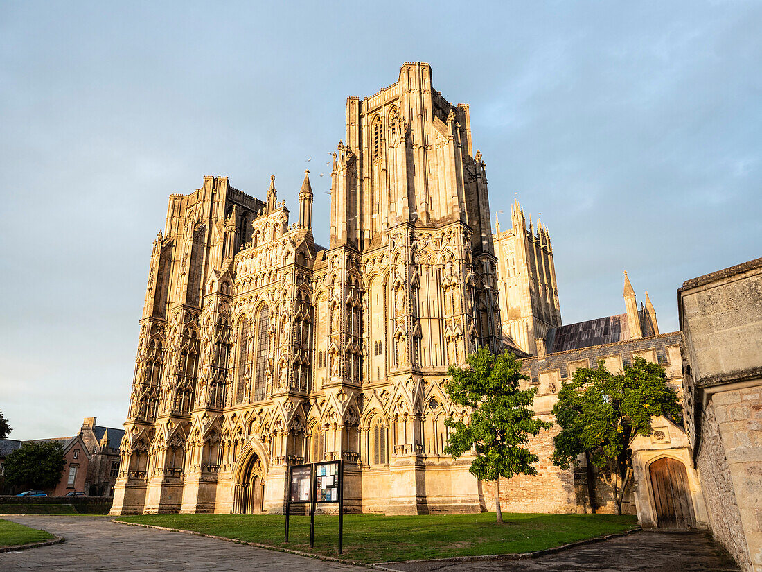 Evening light on the West Front, Wells Cathedral, Wells, Somerset, England, United Kingdom, Europe\n