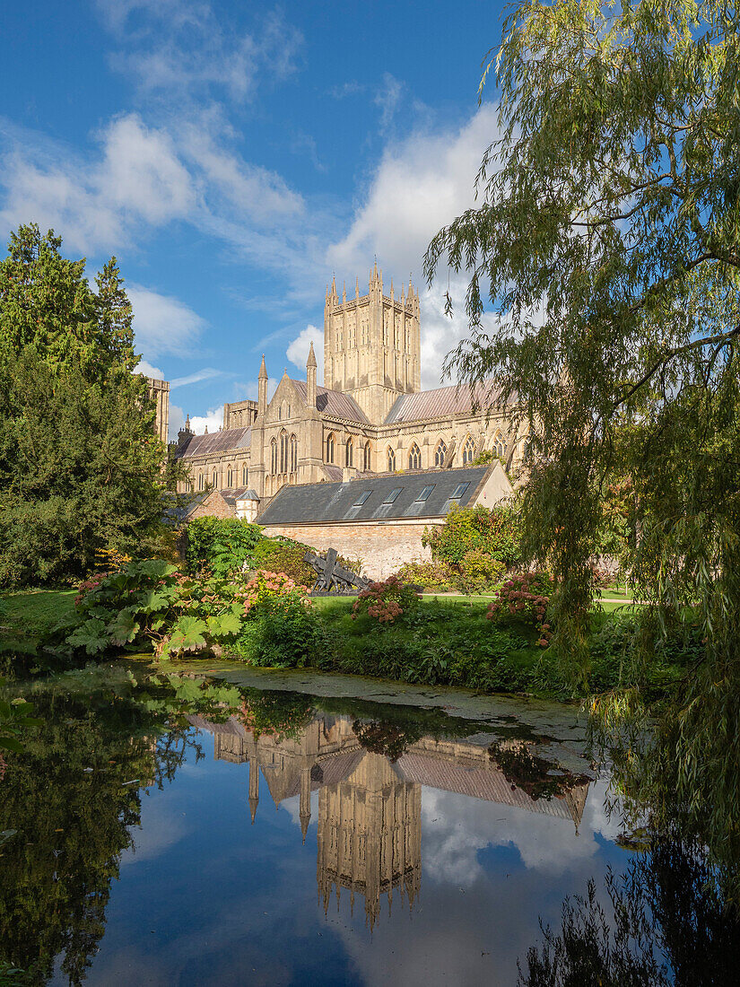 Spiegelung der Kathedrale im Graben, The Bishop's Palace, Wells, Somerset, England, Vereinigtes Königreich, Europa