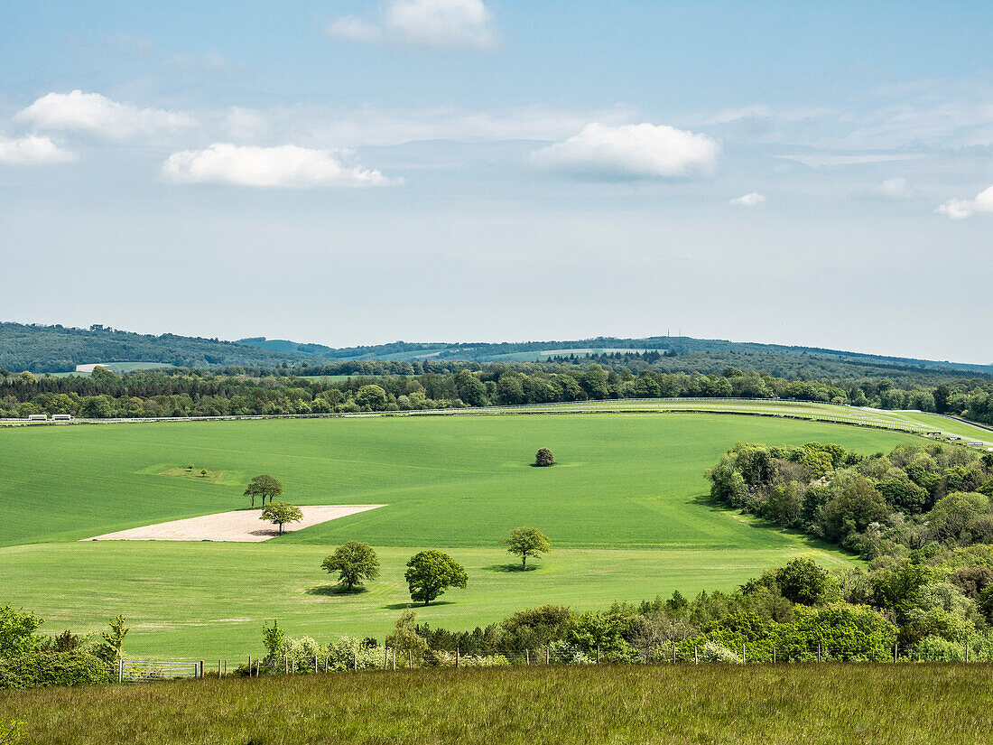 Countryside near Goodwood, South Downs National Park, West Sussex, England, United Kingdom, Europe\n