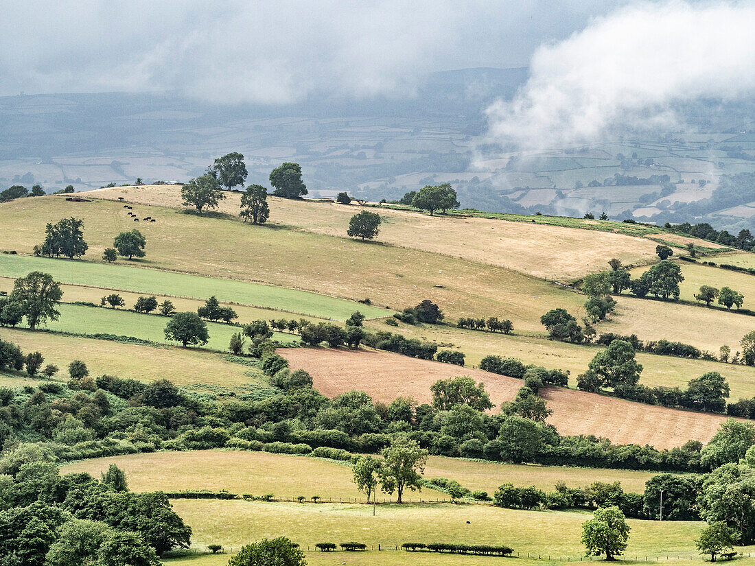 Blick auf die hügelige Landschaft vom Gospel Pass, Black Mountains, Brecon National Park (Bannau Brycheiniog), Wales, Vereinigtes Königreich, Europa