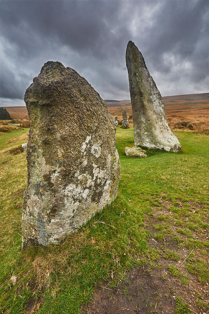 Scorhill Stone Circle, alte Steine in einem prähistorischen Steinkreis, auf offenem Moorland, Scorhill Down, bei Chagford, Dartmoor National Park, Devon, England, Vereinigtes Königreich, Europa