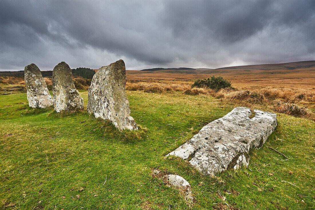 Scorhill Stone Circle, alte Steine in einem prähistorischen Steinkreis, auf offenem Moorland, Scorhill Down, bei Chagford, Dartmoor National Park, Devon, England, Vereinigtes Königreich, Europa