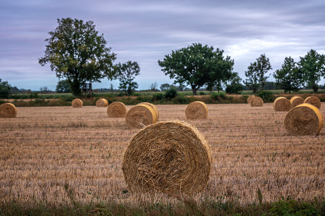 Strohballen auf Feldstoppeln im Sommer