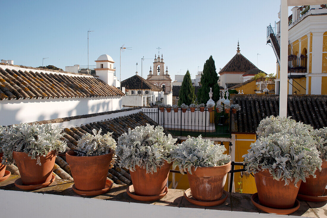 Hotel Las Casas de la Juderia, Seville, Andalusia, Spain, Europe\n