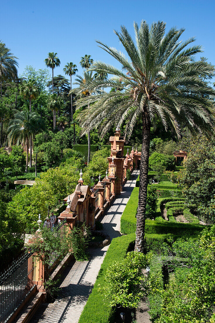 Gardens, Alcazar, UNESCO World Heritage Site, Seville, Andalusia, Spain, Europe\n