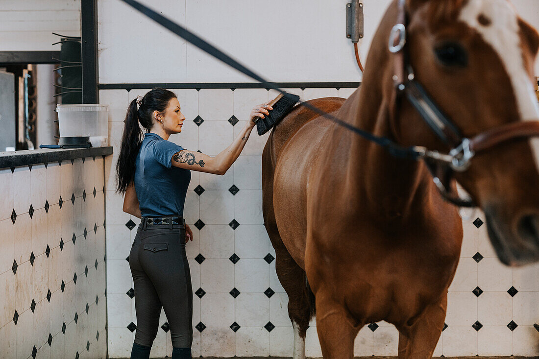 Woman in stables grooming horse with brush\n
