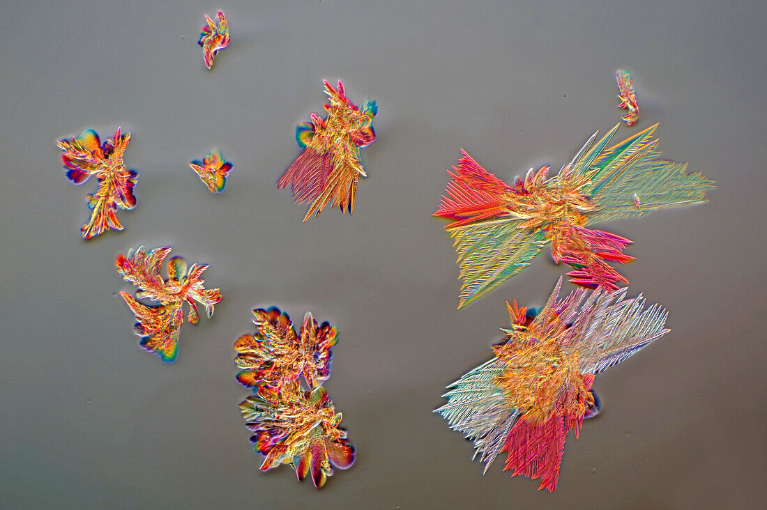 Das Bild zeigt ein kristallisiertes Gemisch aus Apfelsäure, Salicylsäure und Acetanilid, fotografiert durch das Mikroskop in polarisiertem Licht bei einer Vergrößerung von 100X