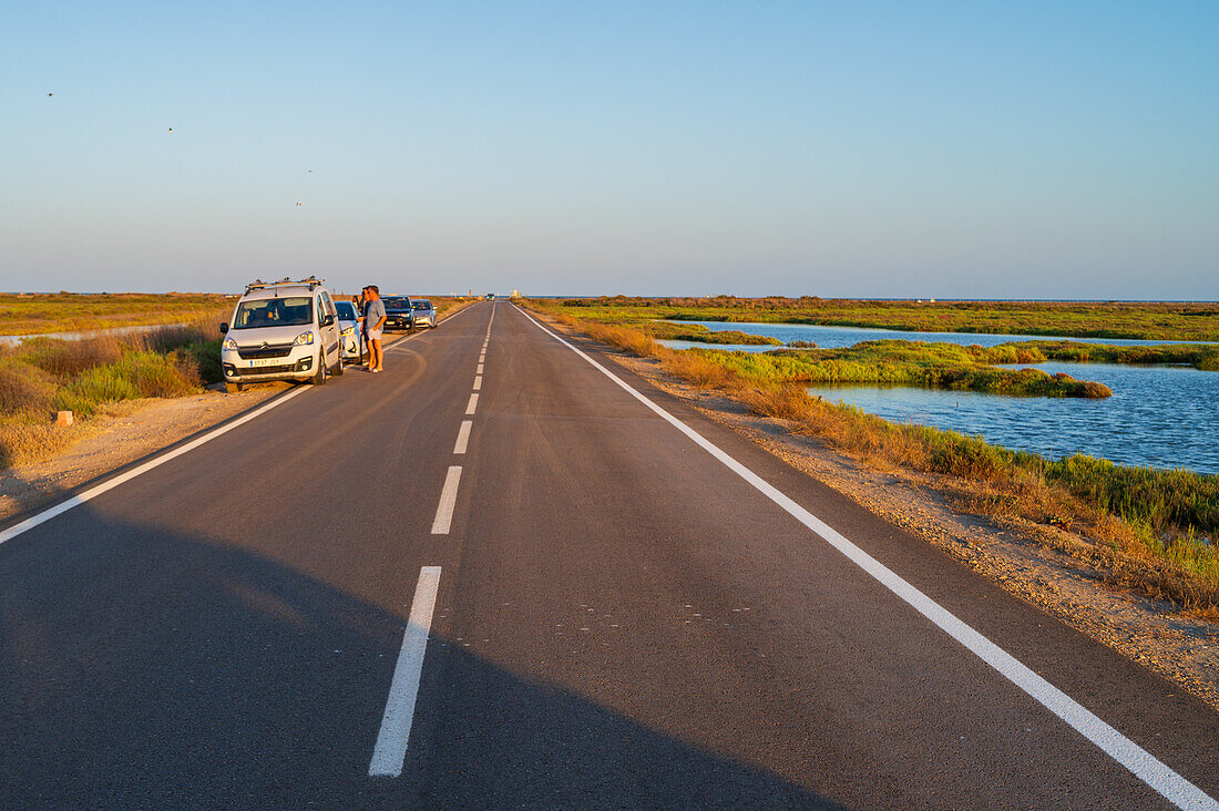 Ebro Delta, delta region of the Ebro River in the southwest of the Province of Tarragona, Catalonia, Spain\n