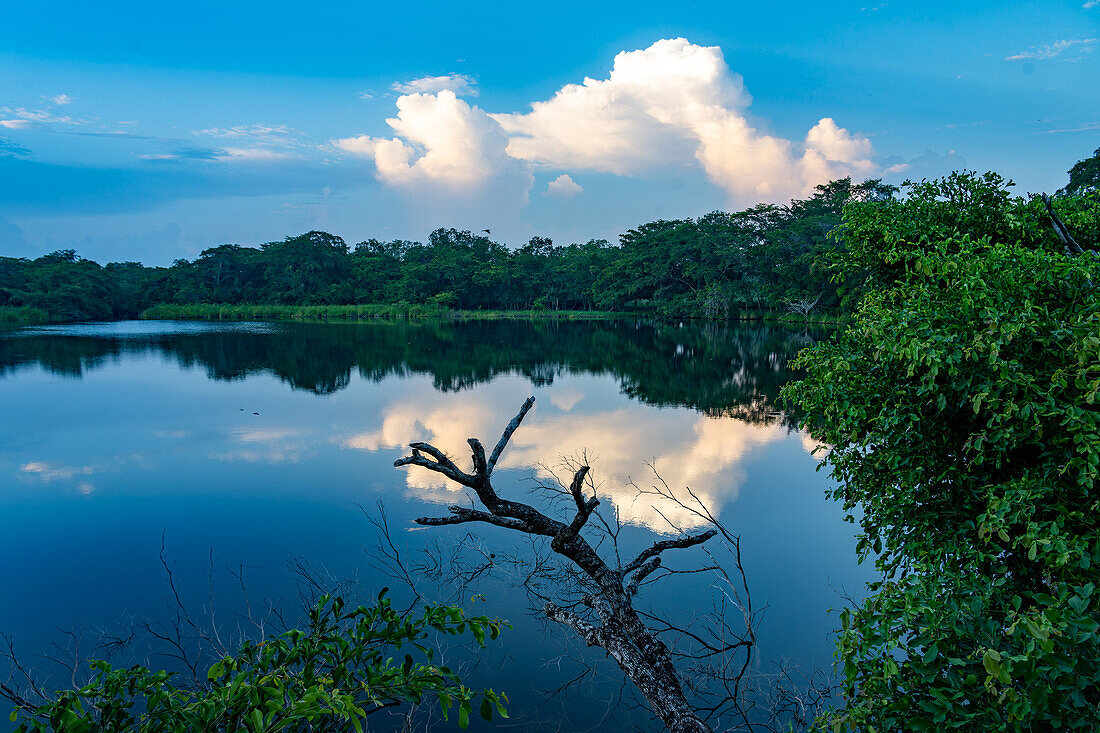 Sonnenaufgang an einem Teich am New River in Tower Hill, Corozal District, Belize.