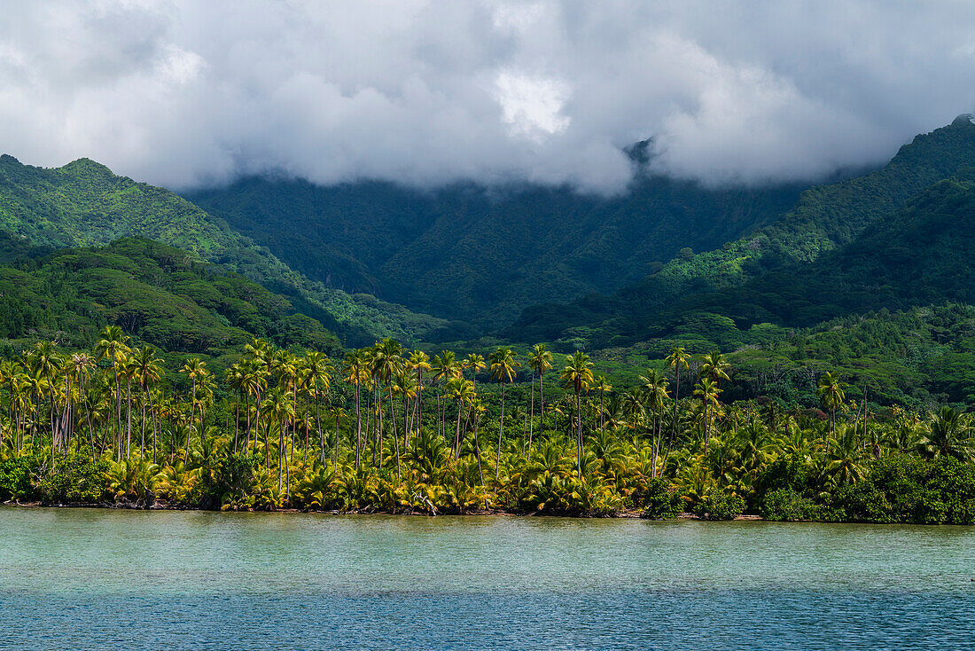 Raiatea, Society Islands, French Polynesia.\n