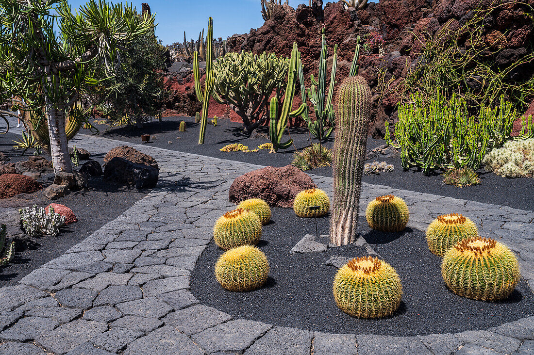 The Jardin de Cactus (Cactus garden) is a wonderful example of architectural intervention integrated into the landscape, designed by Cesar Manrique in Lanzarote, Canary Islands, Spain\n