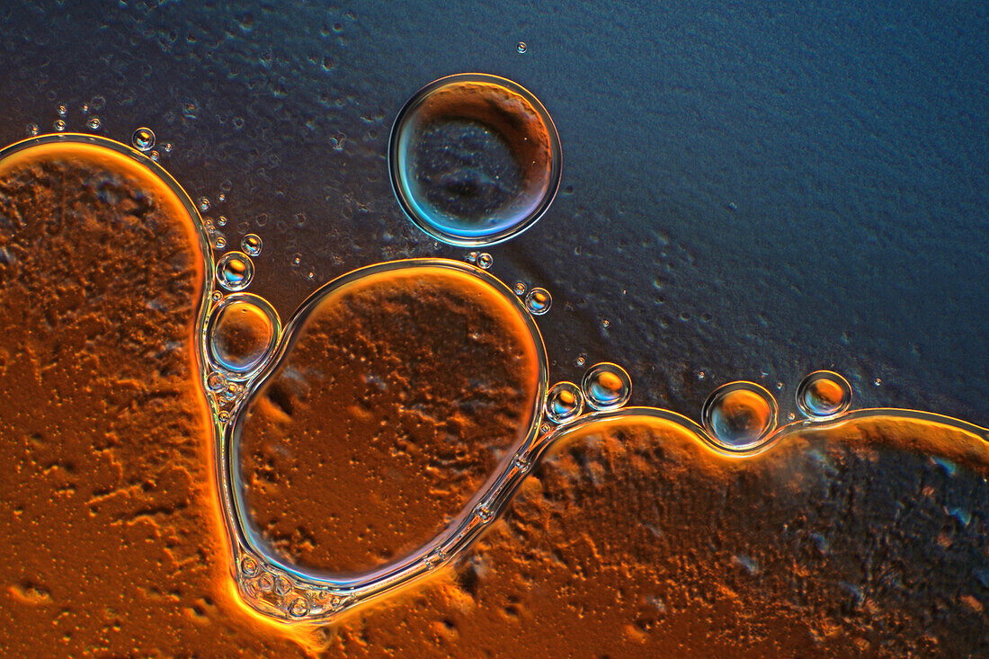 Das Bild zeigt Luftblasen, die sich in aufgeschäumter Milch gebildet haben, fotografiert durch das Mikroskop in polarisiertem Licht bei einer Vergrößerung von 100X