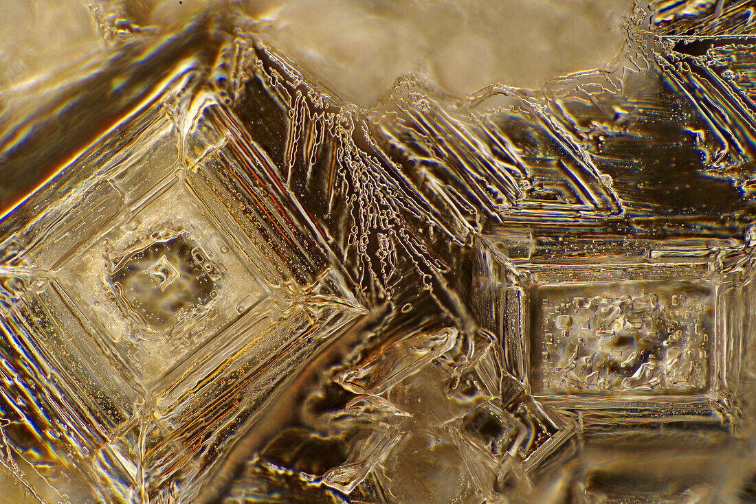 Das Bild zeigt Kristalle von rekristallisiertem Kochsalz, fotografiert durch das Mikroskop in polarisiertem Licht bei einer Vergrößerung von 100X