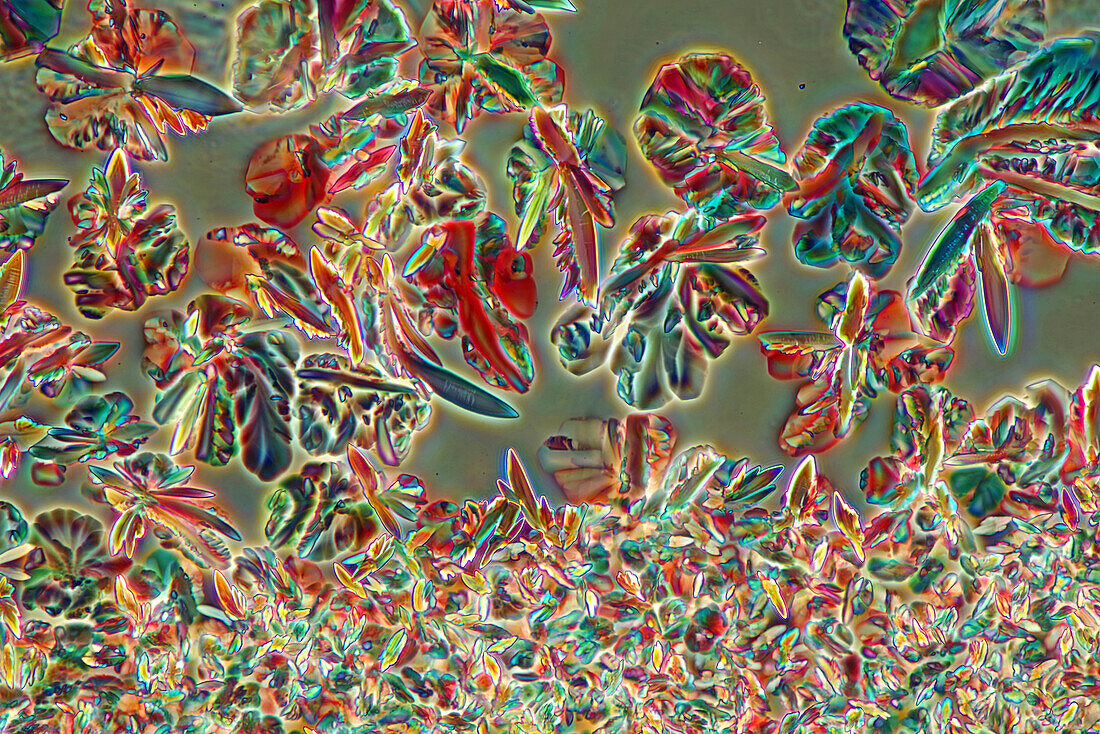 The image presents crystallized mixture of urea and mailc acid, photographed through the microscope in polarized light at a magnification of 100X\n