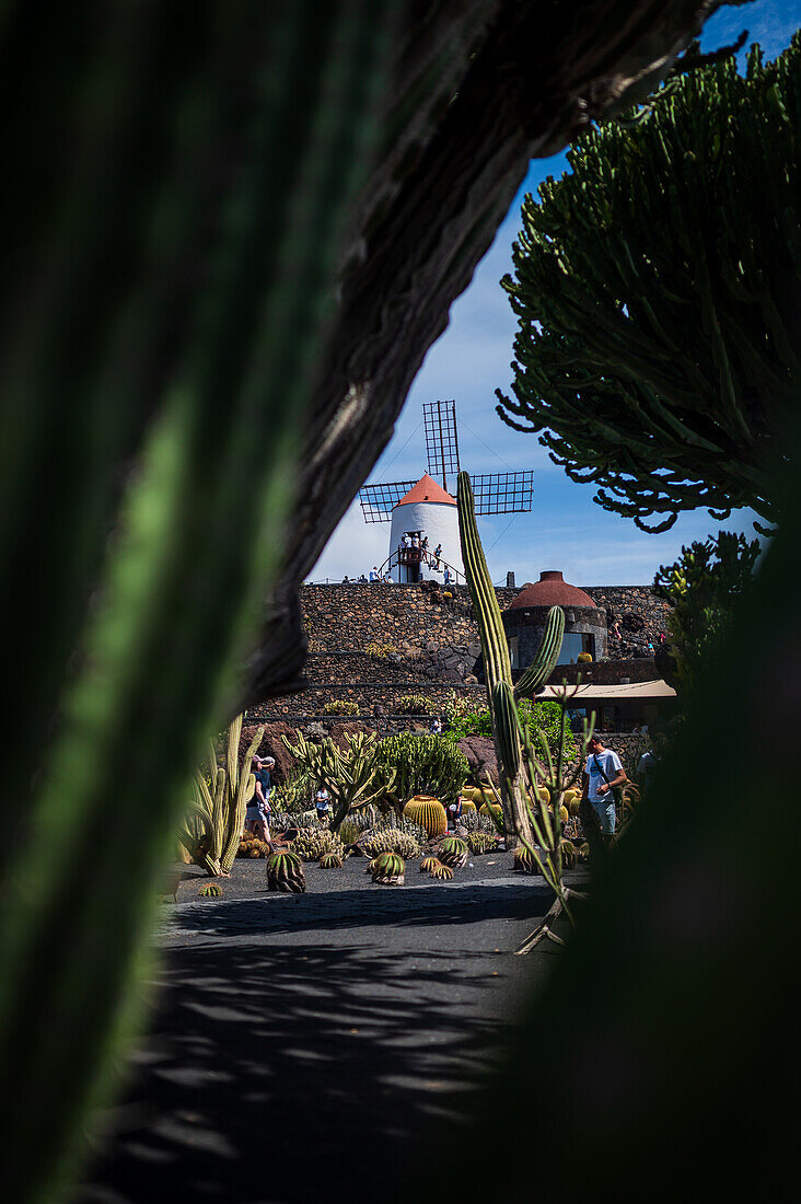 The Jardin de Cactus (Cactus garden) is a wonderful example of architectural intervention integrated into the landscape, designed by Cesar Manrique in Lanzarote, Canary Islands, Spain\n