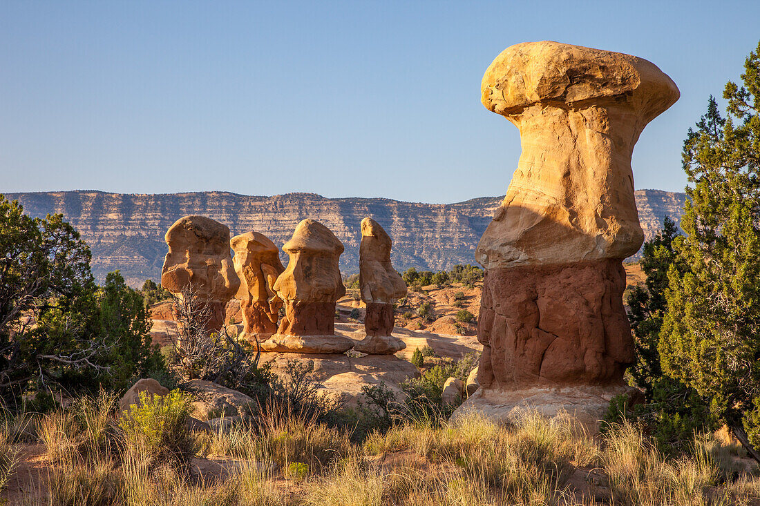 Sandstein-Hoodoo-Felsformationen im Devil's Garden im Grand Staircase-Escalante National Monument in Utah.