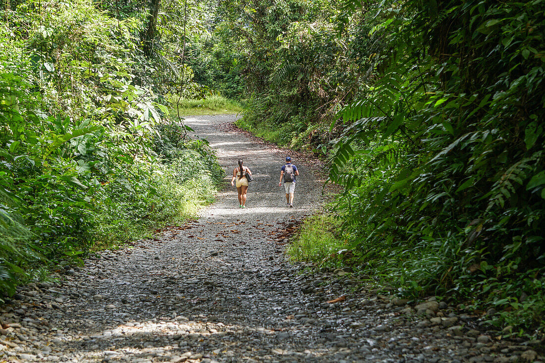 Natur, Wanderwege im Touristengebiet von Quibdó, Tutunendo in Choco, Kolumbien