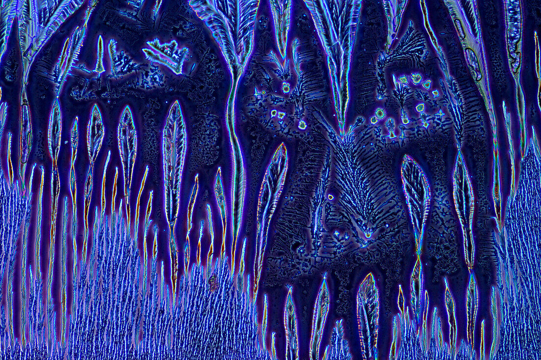 Das Bild zeigt kristallisierte Sojasauce, fotografiert durch das Mikroskop in polarisiertem Licht und Phasenkontrast bei einer Vergrößerung von 100X