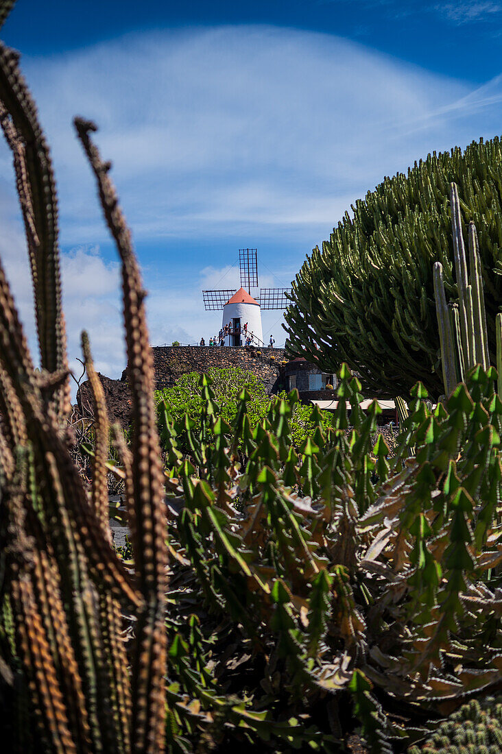 Der Jardin de Cactus (Kaktusgarten) ist ein wunderbares Beispiel für einen in die Landschaft integrierten architektonischen Eingriff, entworfen von Cesar Manrique auf Lanzarote, Kanarische Inseln, Spanien
