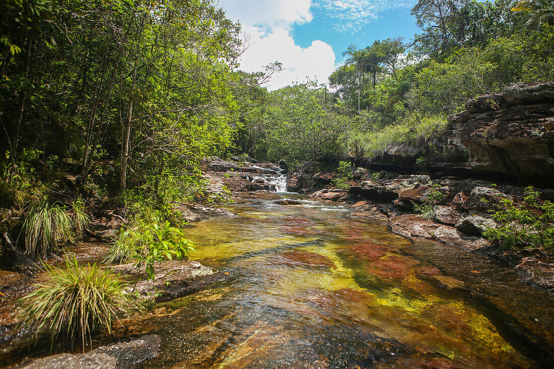 Caño Cristales, auch bekannt als Fluss der fünf Farben, ist ein kolumbianischer Fluss in der Serranía de la Macarena, einer isolierten Bergkette im Departement Meta, Kolumbien