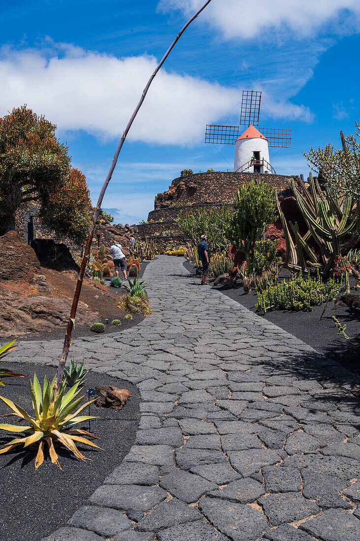 Der Jardin de Cactus (Kaktusgarten) ist ein wunderbares Beispiel für einen in die Landschaft integrierten architektonischen Eingriff, entworfen von Cesar Manrique auf Lanzarote, Kanarische Inseln, Spanien