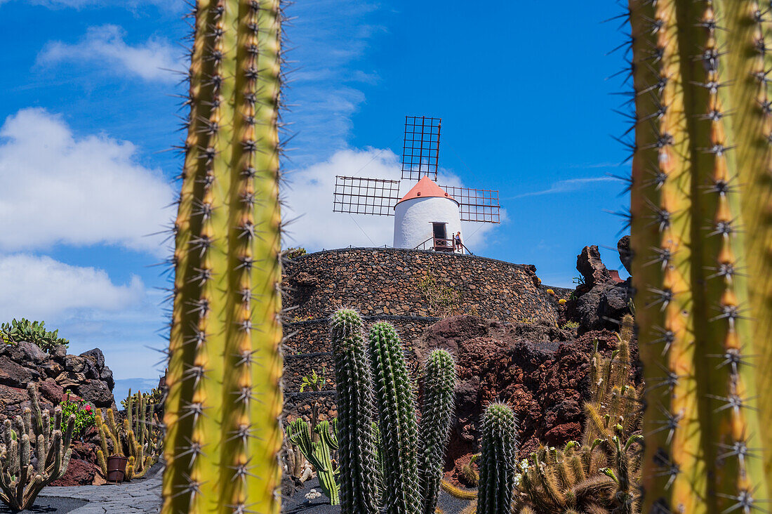 The Jardin de Cactus (Cactus garden) is a wonderful example of architectural intervention integrated into the landscape, designed by Cesar Manrique in Lanzarote, Canary Islands, Spain\n