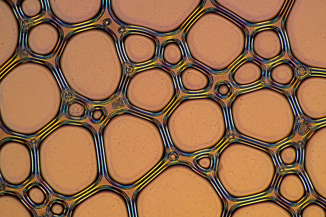 Das Bild zeigt Luftblasen, die sich in aufgeschäumter Milch gebildet haben, fotografiert durch das Mikroskop in polarisiertem Licht bei 100facher Vergrößerung