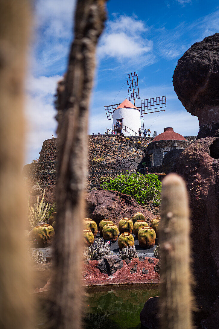 Der Jardin de Cactus (Kaktusgarten) ist ein wunderbares Beispiel für einen in die Landschaft integrierten architektonischen Eingriff, entworfen von Cesar Manrique auf Lanzarote, Kanarische Inseln, Spanien