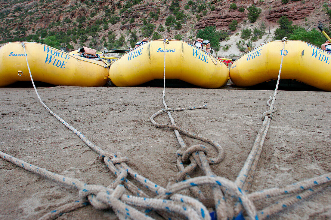 White water rafts tied up on shore in Desolation Canyon, Utah.\n