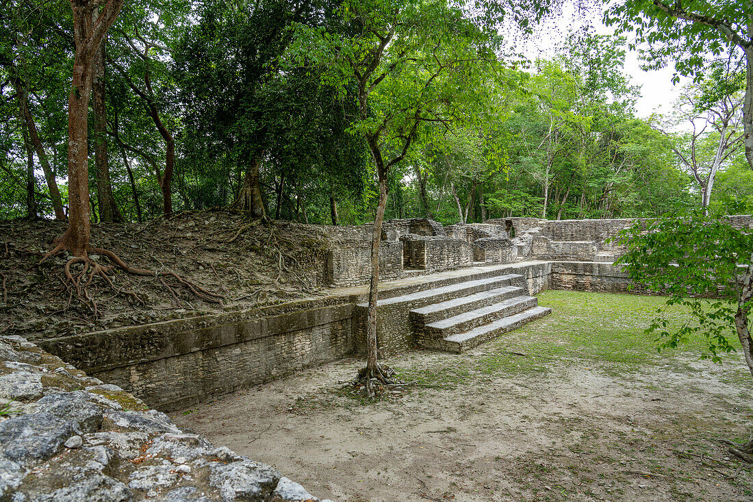 Structure A3 and Plaza A in the residential complex in the Mayan ruins in the Cahal Pech Archeological Reserve, Belize.\n