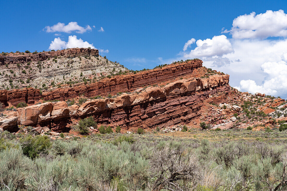 Eine Antiklinale mit dem grauen uranhaltigen Shinarump-Member der Chinle-Formation in Big Indian Wash, nahe La Sal, Utah. Unterhalb der Chinle-Formation liegt die Moenkopi-Formation über der dunkleren roten Cutler-Formation.