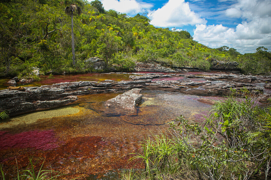 Caño Cristales, also known as the River of Five Colors, is a Colombian river located in the Serranía de la Macarena, an isolated mountain range in the Meta Department, Colombia\n