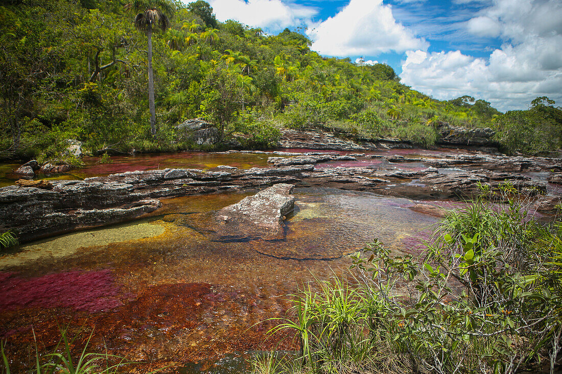 Der Caño Cristales, auch bekannt als Fluss der fünf Farben, ist ein kolumbianischer Fluss in der Serranía de la Macarena, einer isolierten Bergkette im Departement Meta, Kolumbien