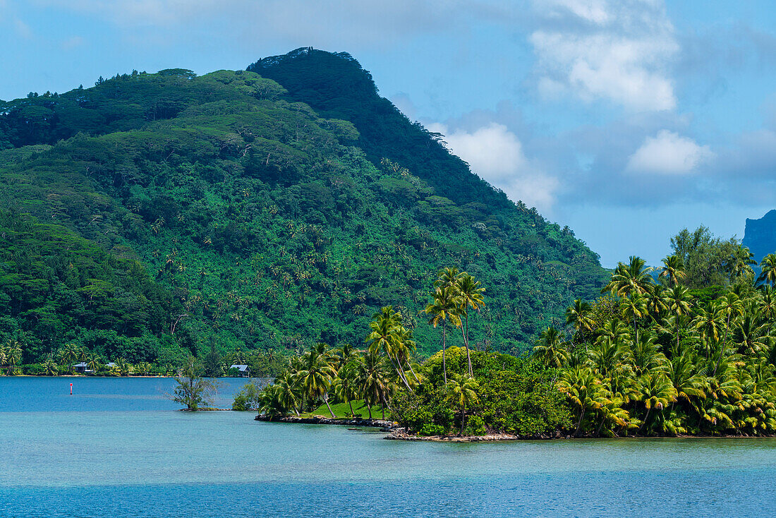 Raiatea, Society Islands, French Polynesia.\n