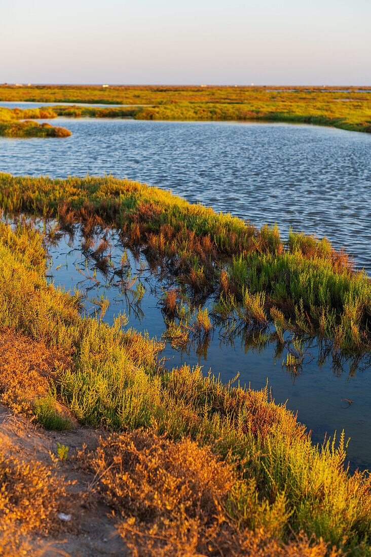 Ebro Delta, delta region of the Ebro River in the southwest of the Province of Tarragona, Catalonia, Spain\n