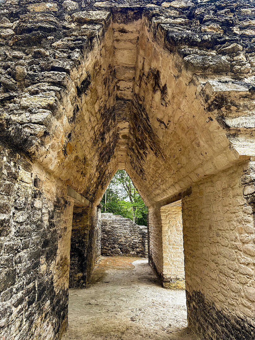 Ein Kragsteinbogen oder Kragsteingewölbe in Struktur A2 in den Maya-Ruinen im archäologischen Reservat von Cahal Pech, Belize.