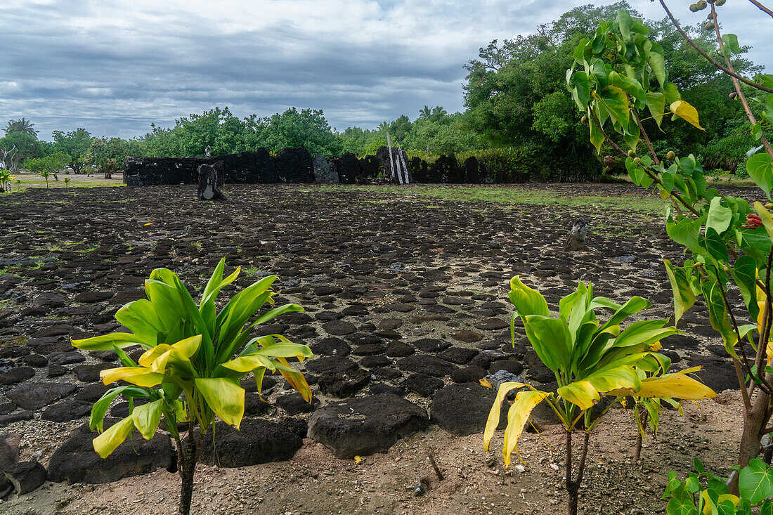 Marae Taputapuatea is a large marae complex at Opoa in Taputapuatea, on the south eastern coast of Raiatea, Society Islands, French Polynesia.\n