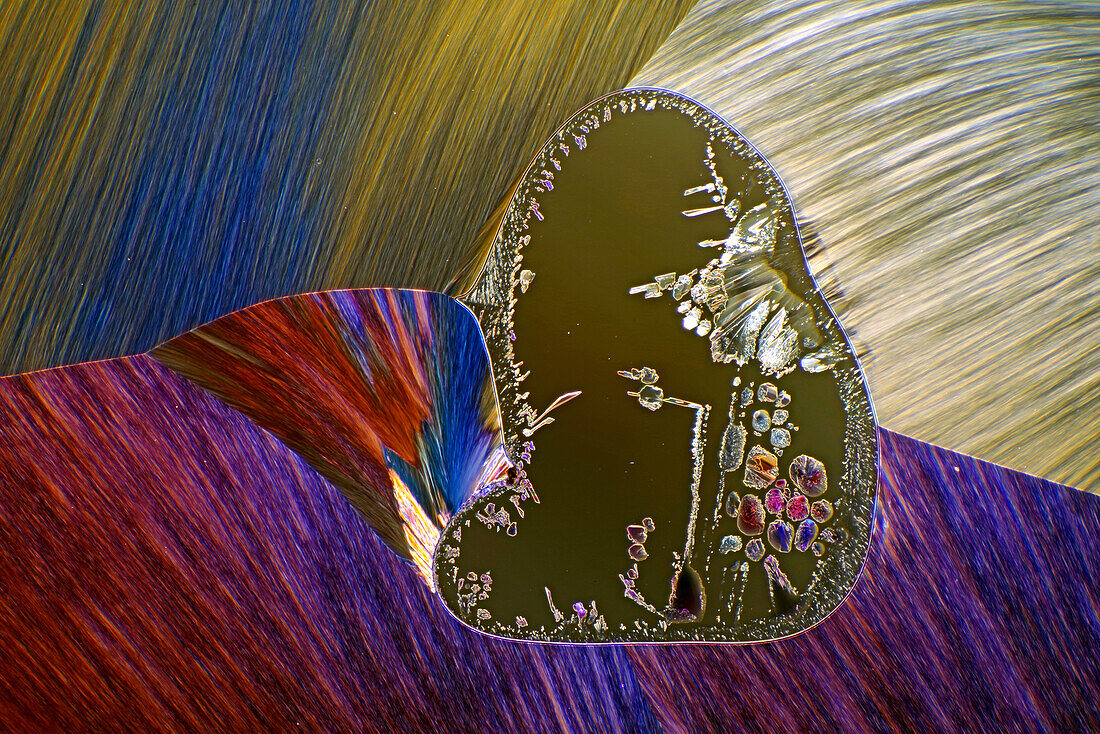 The image presents crystallized resorcinol, photographed through the microscope in polarized light at a magnification of 100X\n