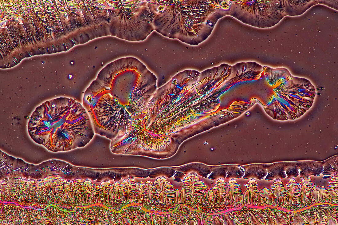 The image presents crystallized copper acetate photographed through the microscope in polarized light at a magnification of 100X\n