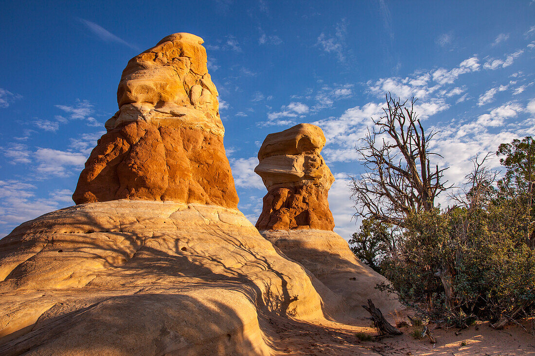 Sandstein-Hoodoo-Felsformationen im Devil's Garden im Grand Staircase-Escalante National Monument in Utah.