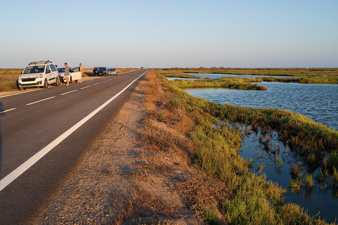 Ebro Delta, delta region of the Ebro River in the southwest of the Province of Tarragona, Catalonia, Spain\n