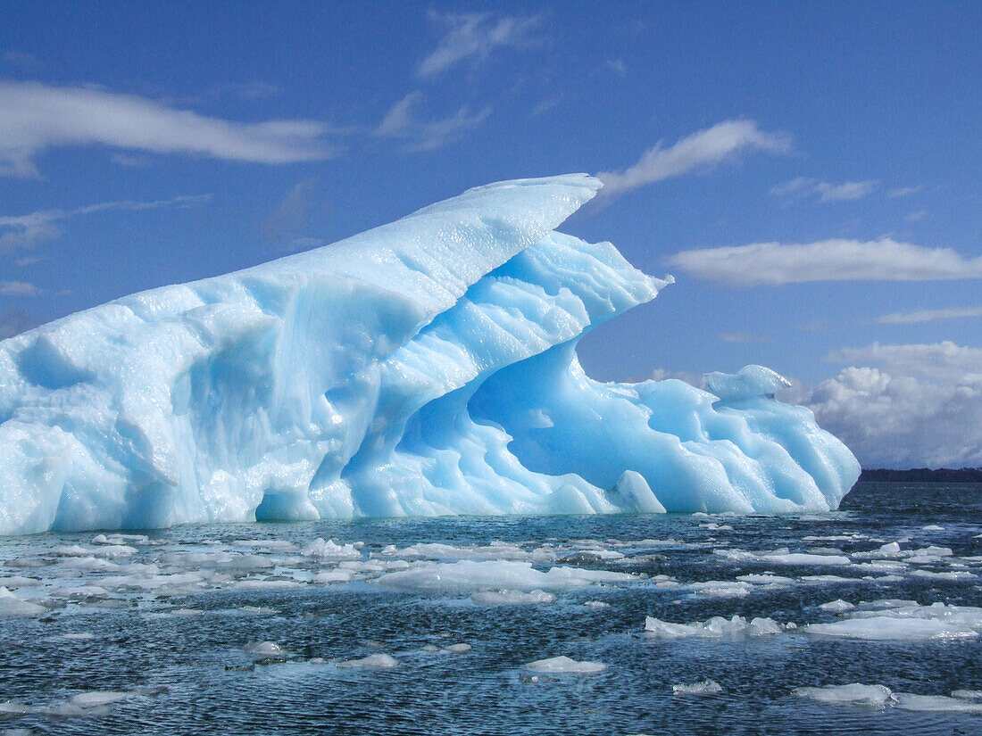 Eisberge vom San Rafael Gletscher in der San Rafael Lagune im Laguna San Rafael National Park, Chile.