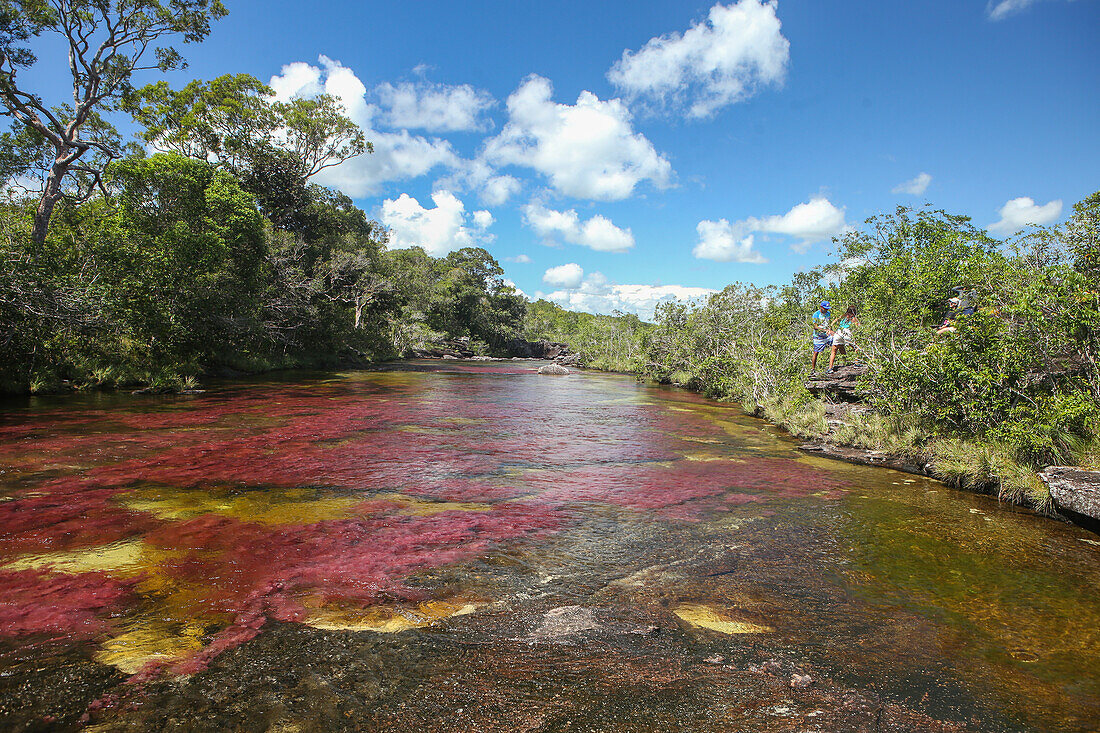 Caño Cristales, also known as the River of Five Colors, is a Colombian river located in the Serranía de la Macarena, an isolated mountain range in the Meta Department, Colombia\n