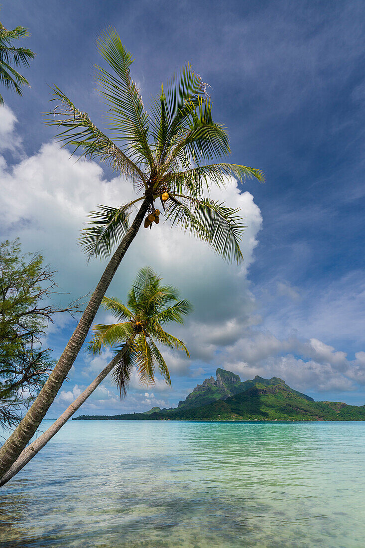 Bora-Bora, Society Islands, French Polynesia.\n