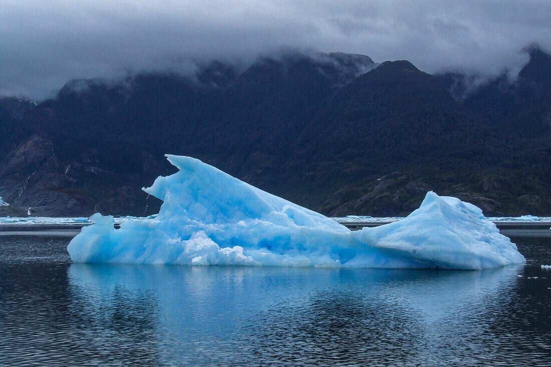 Icebergs from the San Rafael Glacier in the San Rafael Lagoon in Laguna San Rafael National Park, Chile.\n